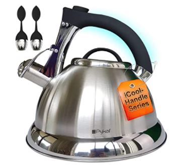 types of teapots: Stainless Steel Teapot 